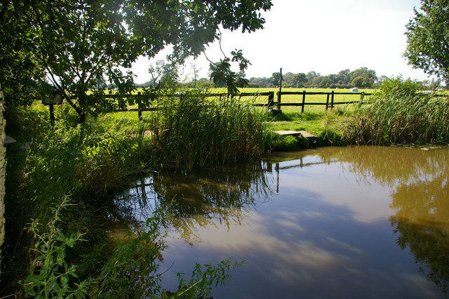 picture of pond